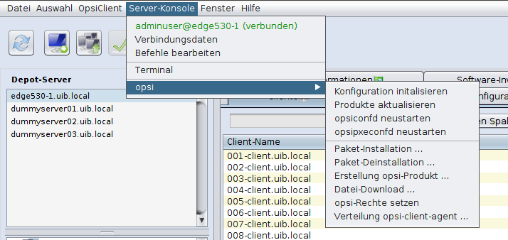 opsi-configed: Server-Konsole
