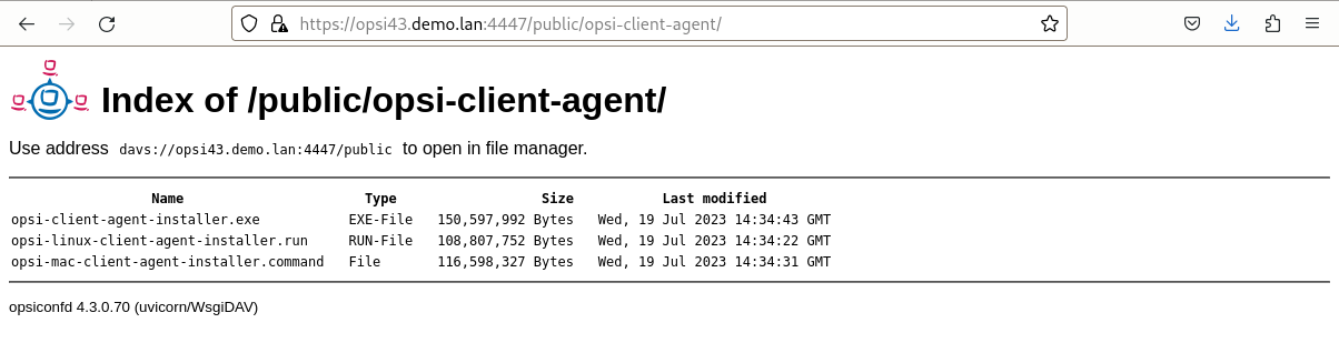 Den Installer finden Sie auf dem opsi-Configserver unter `\https://<fqdn_oder_ip_des_configservers>:4447/public/opsi-client-agent/`.