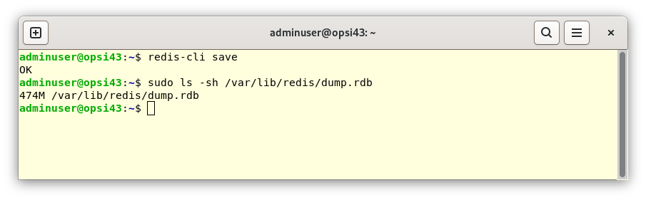 Mit dem Befehl *redis-cli save* erzeugen Sie einen Dump der Redis-Datenbank.