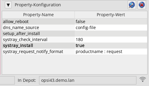 *opsi-configed*: Property-Tabelle