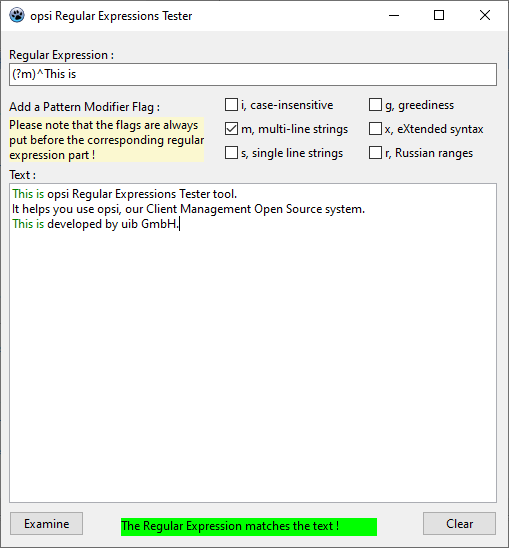 opsi-regexpr-tester-success