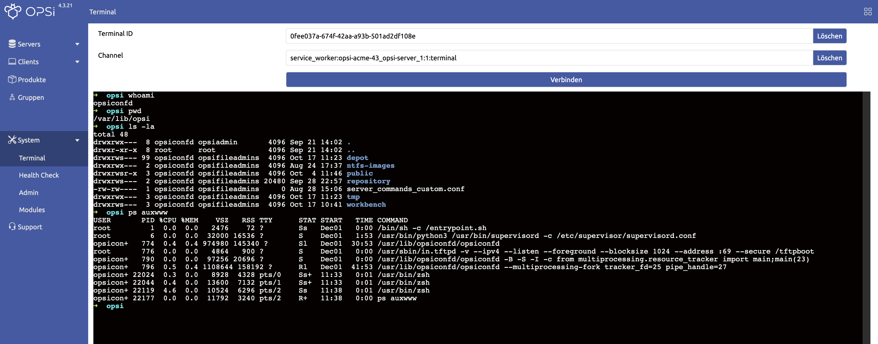 WebGUI: Terminal starten