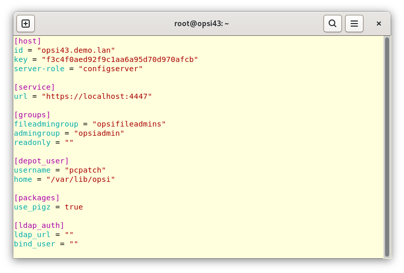 The configuration file */etc/opsi/opsi.conf* defines the server role, among other things.