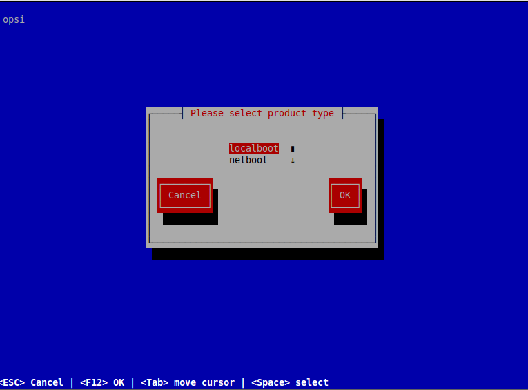 Screenshot: Choose the product type: localboot