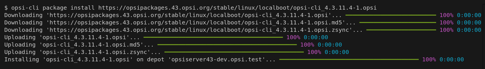 Output: opsi-cli package install