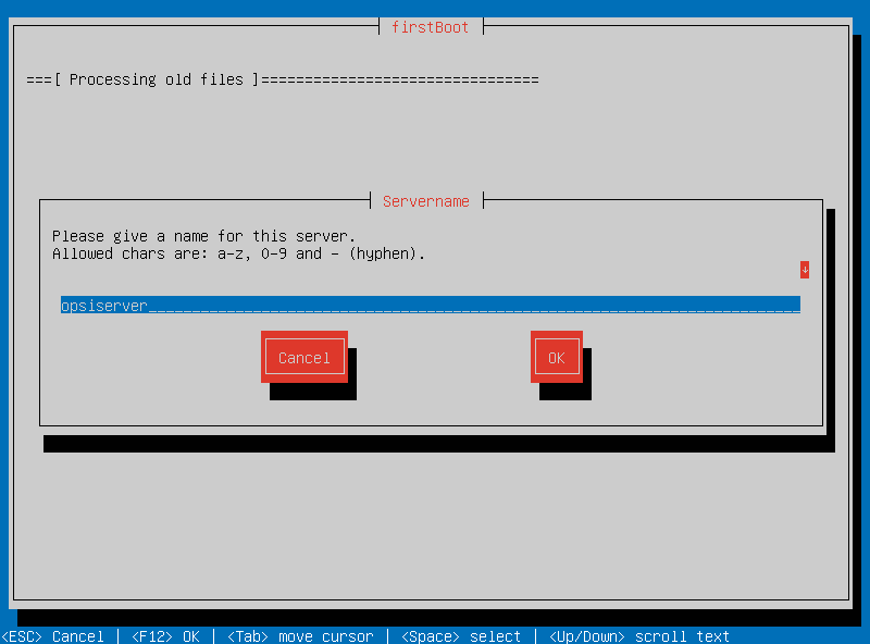 The script *1stboot.py* assists you in setting up the network configuration.