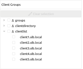 Clients tab content in quickpanel